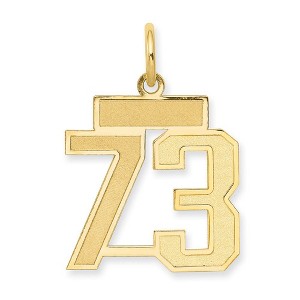 Black Bow Jewelry 14k Yellow Gold, Jersey Collection, Small Number 73 Pendant - 1 of 3