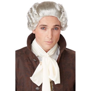 California Costumes 18th Century Peruke Costume Wig (Grey) - 1 of 2