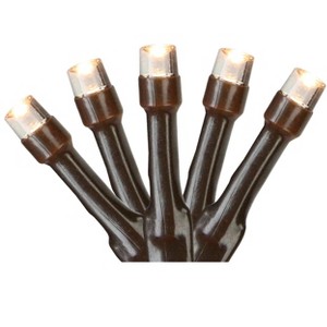 Northlight Battery Operated LED Wide Angle Christmas Lights - Warm White - 9.5' Brown Wire - 20ct - 1 of 1