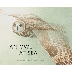 An Owl at Sea - by  Susan Vande Griek (Hardcover) - 1 of 1