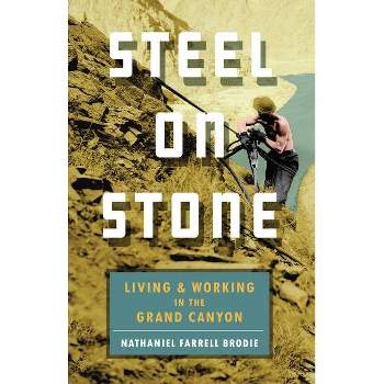 Steel on Stone - by  Nathaniel Farrell Brodie (Paperback)