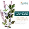Himalaya Holy Basil for Natural Stress & Anxiety Relief, 720 mg, 60 Capsules, 1 Month Supply - 4 of 4