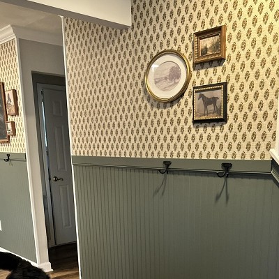 Guest review image 1 of 1, zoom in
