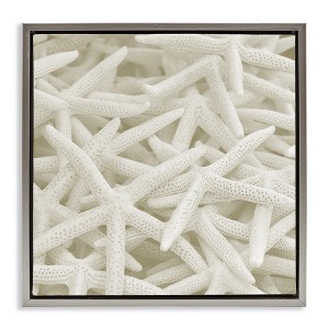 Stupell Industries Nautical White Starfish Photography, 18" x 18" - 1 of 4