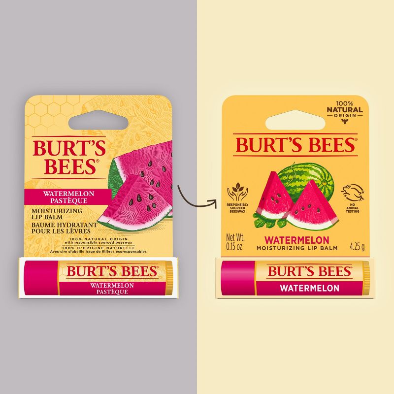 Burt&#39;s Bees Moisturizing Lip Balm - Watermelon - 0.15oz, 3 of 19