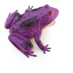 Collectible Wildlife Gifts | Frog, Purple Toad, Rubber Toy, Realistic, Rainforest Amphibian, Model,   Educational, Gift,     3"     F6090 B3 - 1 of 4