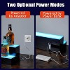 LED Juice Bottle Display Shelf with Remote & App Control, Single-Layer Acrylic Bar Shelf with Multicolor Lighting - 4 of 4