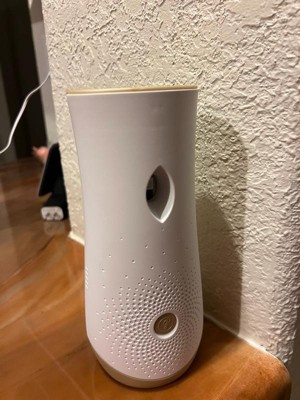 Guest review image 1 of 2, zoom in