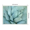 Amanti Art Agave Detail IV by Brittany Evans Framed Canvas Wall Art - 4 of 4