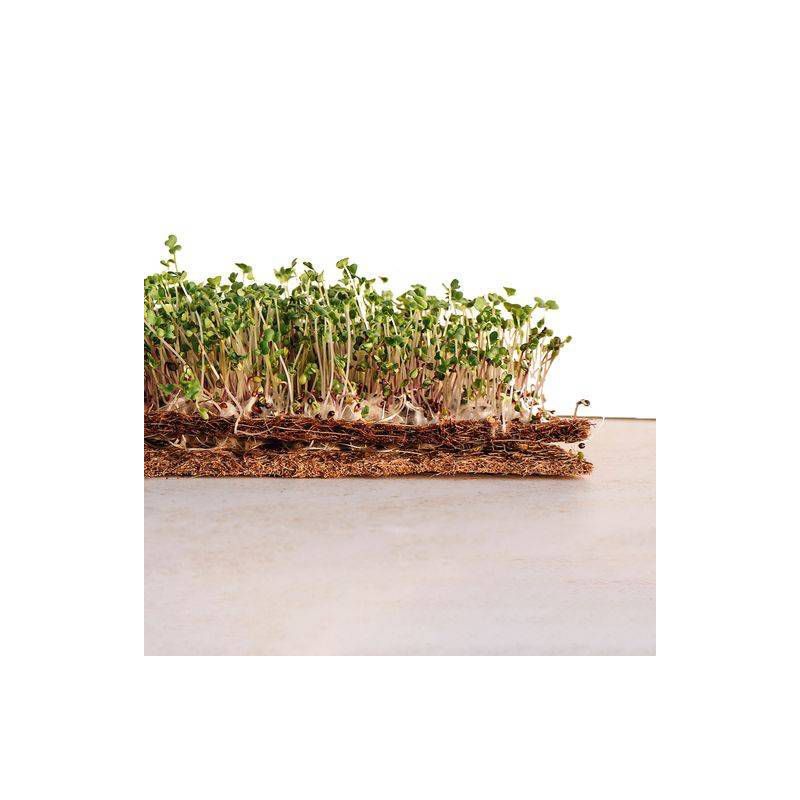 Envelor 20pk 9x9&#34; Coco Coir Grow Mats for Microgreens and Basket Liners, 4 of 6