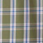 safari green check