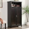 Sauder Edge Water 2 Door Storage Cabinet Estate Black - 3 of 4
