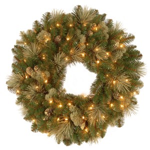 24" Prelit Artificial Carolina Pine Christmas Wreath with Pine Cones White Lights - National Tree Company - 1 of 4