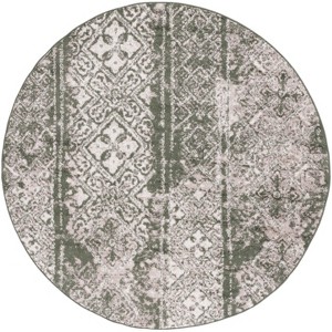 Adirondack ADR111 Non-Shedding Power Loomed Indoor Rugs - Safavieh - 1 of 4