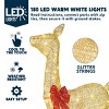 Joyfy 3 Pcs 2D Christmas Reindeer Family Yard Light Decorations, 180 LEDs Lights with Metal Stakes for Xmas Indoor Outdoor Garden Holiday Decoration - 2 of 4