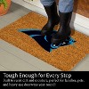 EvergreenNFLCarolina Panthers Logo Natural Coir 28 x 16 Inches Indoor Outdoor Doormat - 3 of 4