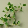 3pk 25" Green Banyan Leaf Artificial Stems - Hearth & Hand™ with Magnolia - 3 of 3