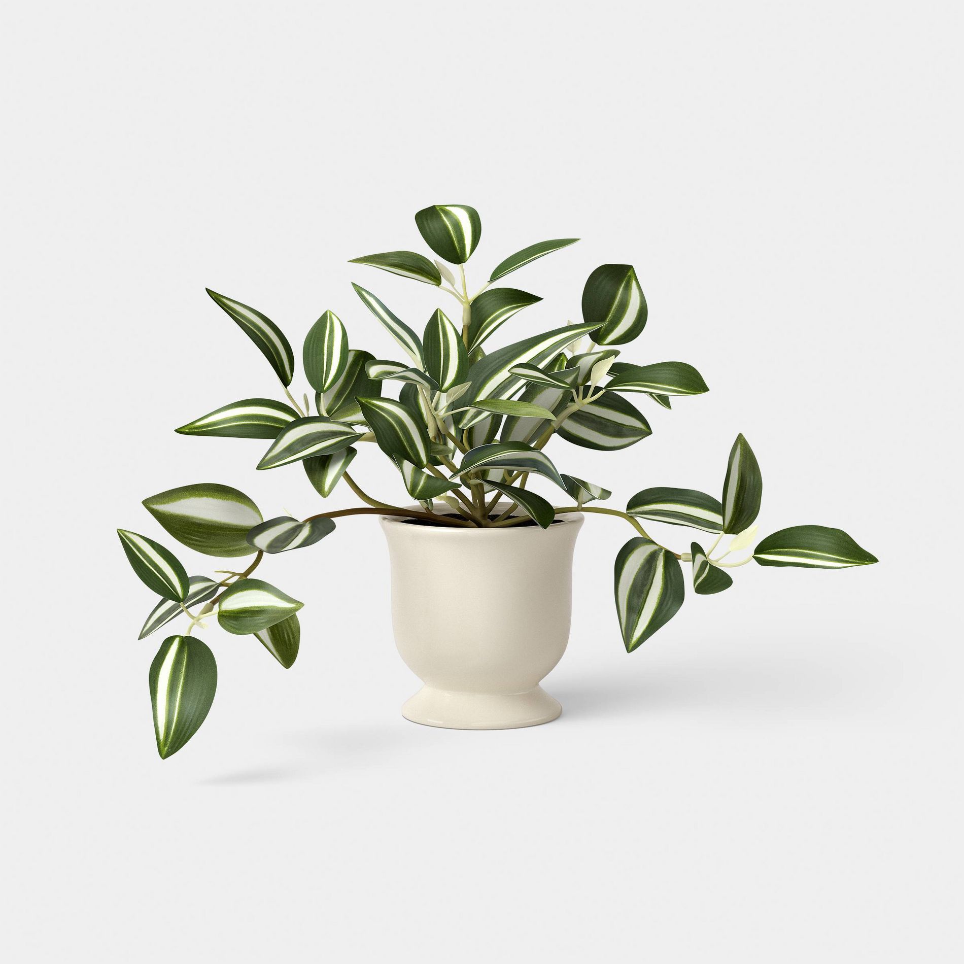 8.25" Trailing Variegated Plant in Trophy Vase - Room Essentials™