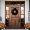 Northlight Pre-Lit Noble Spruce Artificial Halloween Wreath - 24" - Black - Orange Lights - 3 of 4