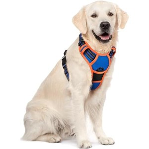 rabbitgoo Dog Harness No Pull with 2 Leash Clips, Oxford No Choke Pet Vest with Easy Control Handle for Large Dogs, Blue & Orange, XL - 1 of 1