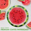 Creative Converting 7" Slice of Summer Dessert Paper Plates 24ct - 2 of 3