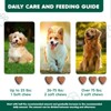 Advanced Probiotic for Dogs, Supports Digestive, Immune & Gut Health, 6 Strains of Probiotics, Inulin, Enzyme Blend, 90 ct - 4 of 4