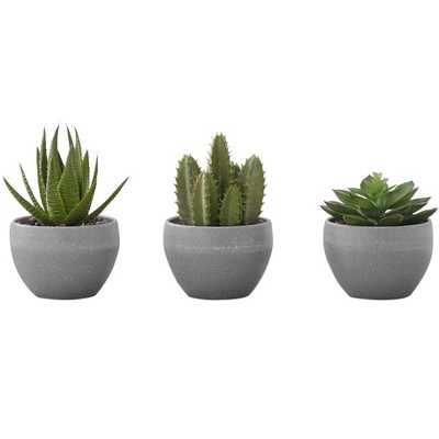 Vynxaria Set of 3 Faux Succulent Plants ¨C 6" Tall Indoor Greenery in Grey Cement Pots