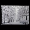 Northlight Fiber Optic Lighted Winter Lane Snowfall Christmas Canvas Wall Art 23.5" x 15.75" - 2 of 4