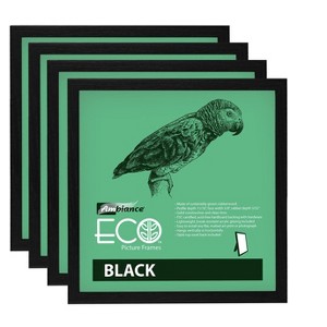 Ambiance Eco Frames - 4 Packs - Assorted Sizes and Colors - 1 of 4