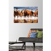 Trends International Horses Unframed Wall Poster Prints - 2 of 4