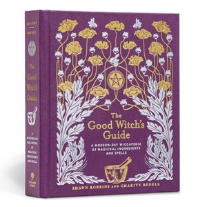 The Good Witch's Guide - (Modern-Day Witch) by Shawn Robbins & Charity Bedell (Hardcover) - 1 of 1