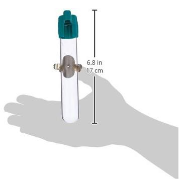 6-Inch Clear Glass Tube Bird Feeder with Metal Clip