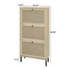 ALEXOUN Rattan 3 Door Shoe Rack - Freestanding Shoe Storage Cabinet,Easy to Assemble & Spacious Organizer for Entryway, Living Room,Porch - 3 of 4