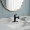 PROOX Single Handle Pull Out Sprayer Single Hole Bathroom Faucet Deckplate and Pop Up Drain Included - 2 of 4