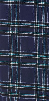 navy twill plaid