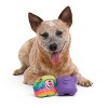 BARK Rave Dweller Ball Dog Toy - 4 of 4