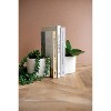 Decorative White Concrete Bookend Pots – 2x Set of 4 - 4" Tall by Kalalou - 4 of 4