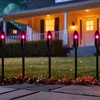 Northlight C9 Bulb Halloween Pathway Markers - Purple - 8.75' Black Wire - Set of 10 - 2 of 4