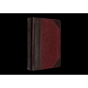 ESV Reader's Bible (Trutone, Brown/Cordovan, Portfolio Design) - (Leather Bound) - 1 of 1