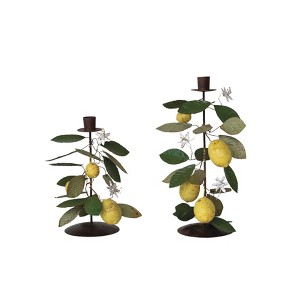 Storied Home Citrus Grove Metal Taper Candle Holders, Multicolor, Set of 2 - 1 of 2
