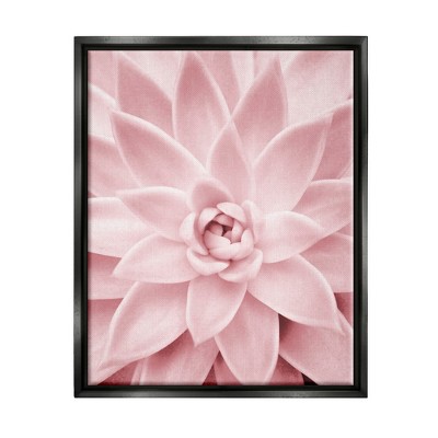 Stupell Industries Pastel Pink Succulent Framed Floater Canvas Wall Art