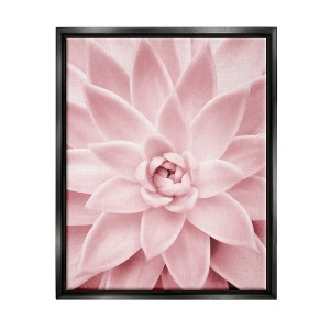 Stupell Industries Pastel Pink Succulent Framed Floater Canvas Wall Art - 1 of 4