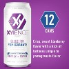 Xyience Blueberry Pomegranate Energy Drink - 16 Fl Oz Can (Pack of 12) - 3 of 4