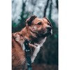 Embark Harness Co. Adventure Dog Leash - Aztec - 5 Feet Long - 3 of 4