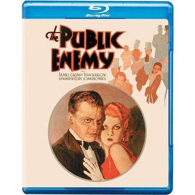 Public Enemy (Blu-ray)(2013)