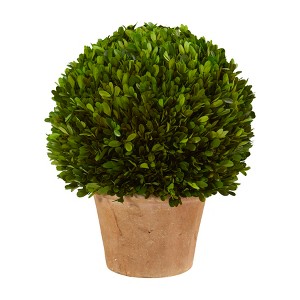 Nearly Natural 15-in Boxwood Ball Preserved Plant in Planter - 1 of 3