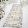 Washable Vintage Oriental Rug, Non-Slip and Stain Resistant Rug, Vintage Floral Embossed Low Pile Rug for Living Room, Dining Room, Bedroom - 3 of 4