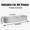 VisioGear 2Pcs Raised Garden Bed Kit, Planter Raised Garden Beds for Outdoor for Vegetables, Flowers &Herbs, Silver, 72"*36"*12" - 3 of 4