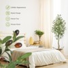 5-7FT Artificial Olive Trees - Realistic Faux Silk Plants with Moss & White Bamboo Pots for Indoor/Outdoor Home & Office Decor - 4 of 4