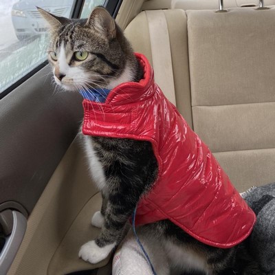 Cat Puffer Coat 